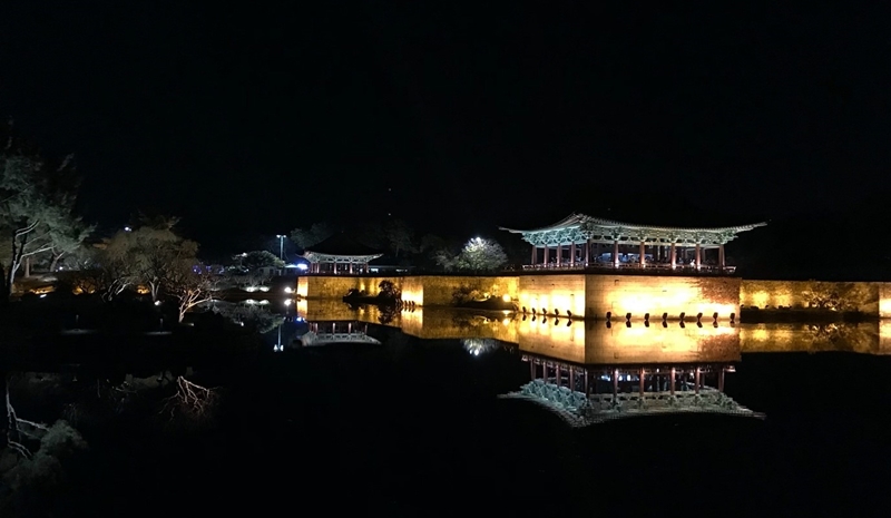 20200812_gyeongju_pvdd_vn_article_007