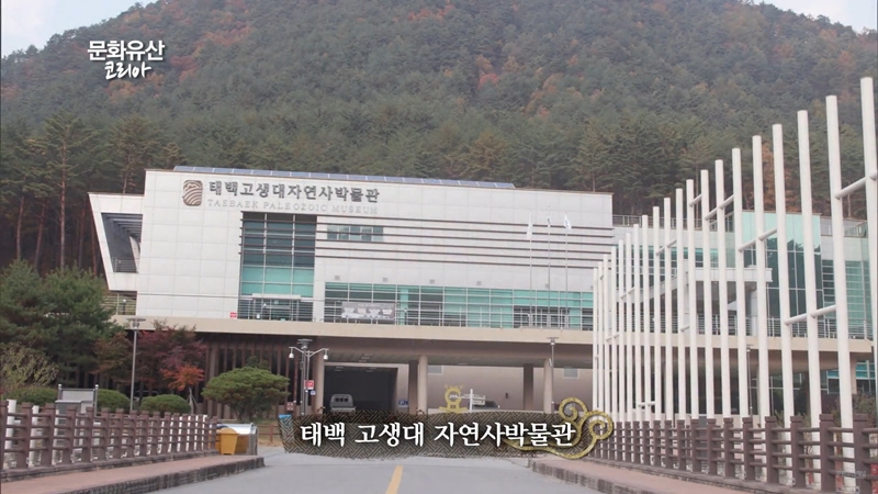 20200828_gangwondo_pvdd_vn_article_006