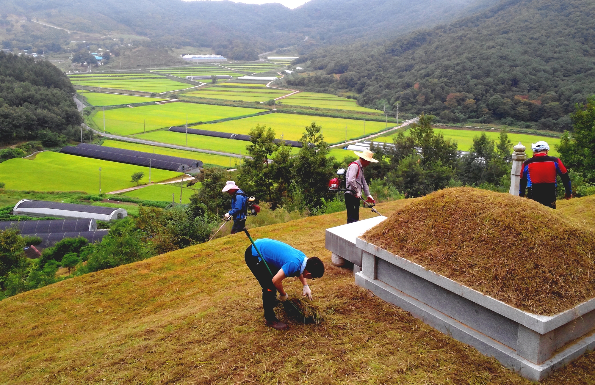 20201001_tethanviet_pvdd_vn_article_003