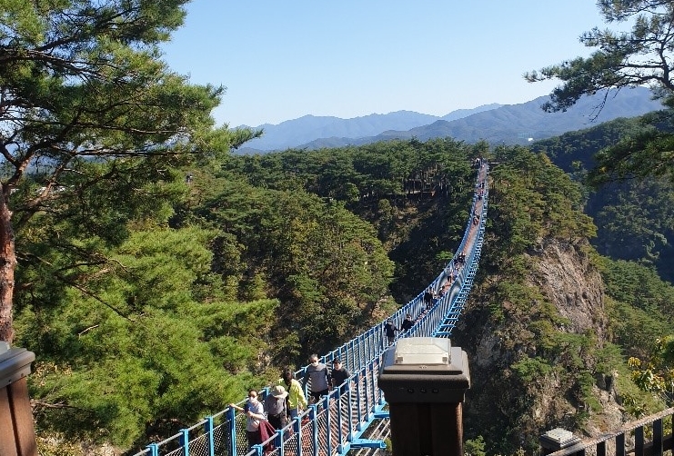 20201105_sogeumsan_pvdd_vn_article_001