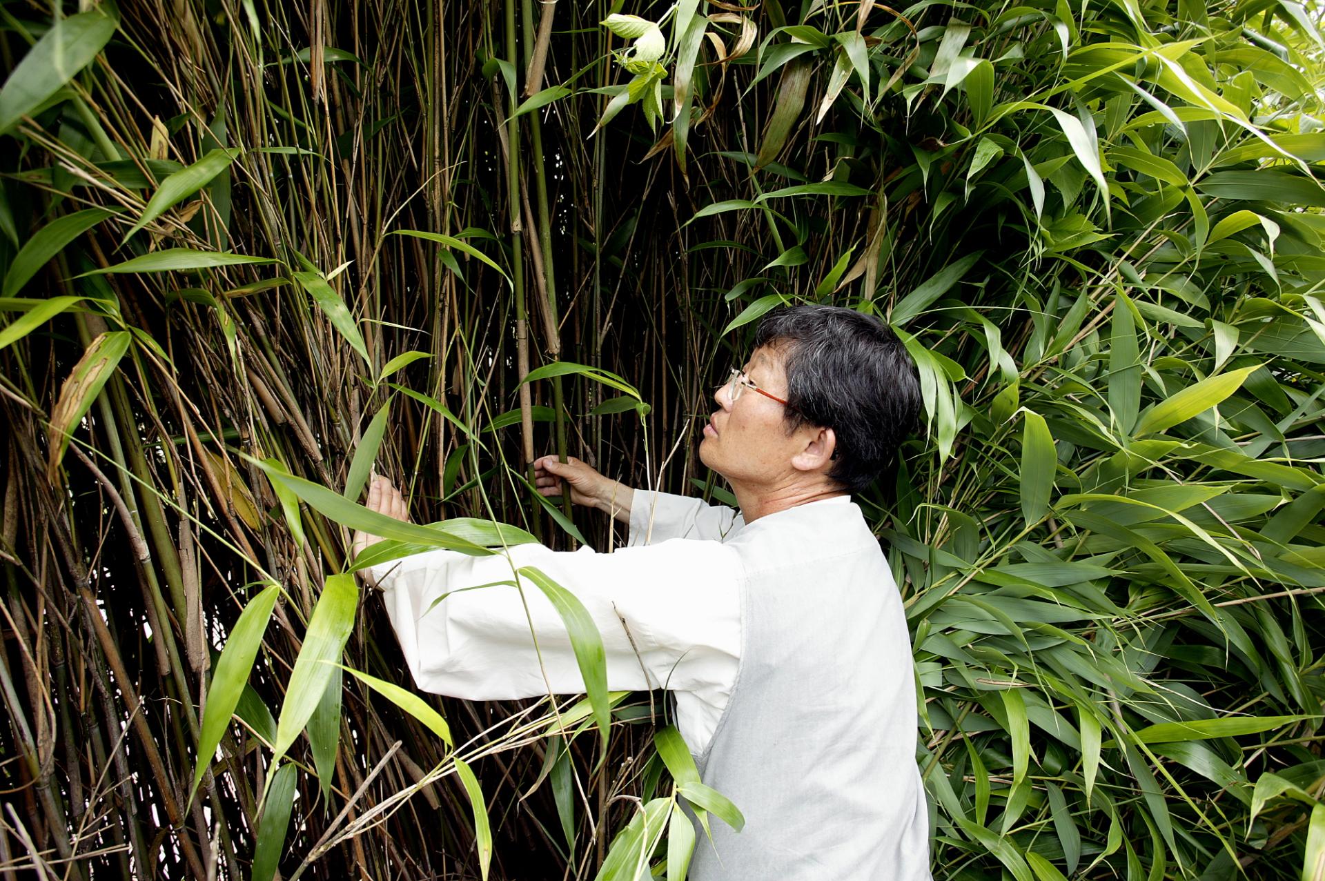 20201127_bal_pvdd_vn_article_002