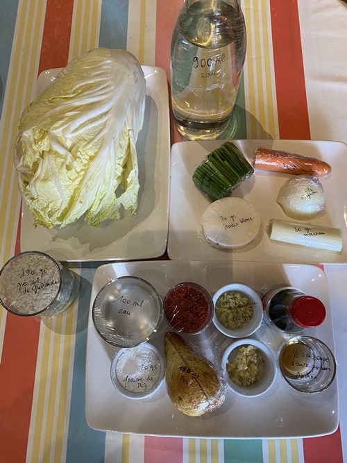 les ingrédients utilisés et le Kimchi que j’ai préparé (Photos de Danielle TARTARUGA) 