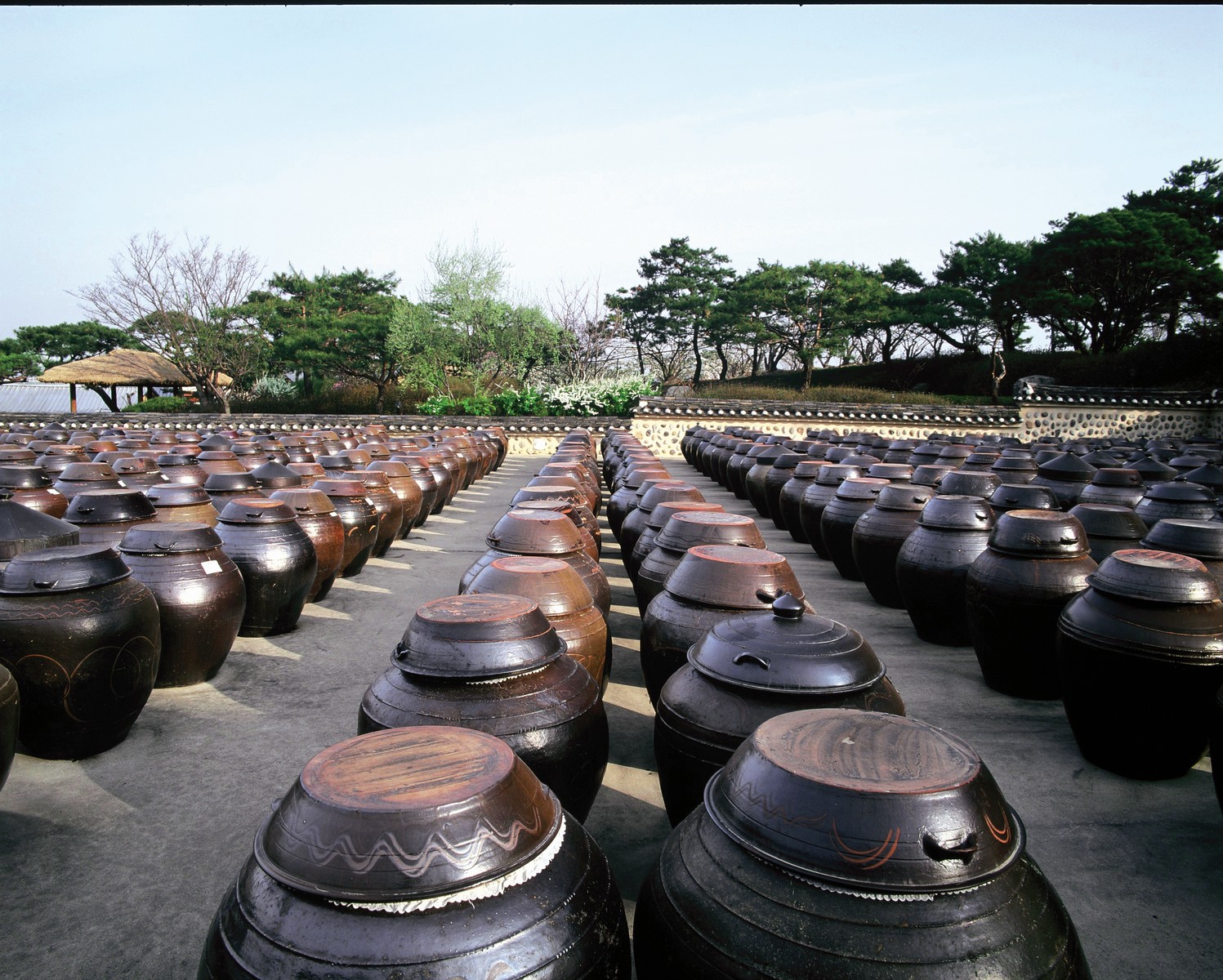 Jangdokdae (Soy Jar Terrace). An area outside the kitchen used to store large brown-glazed pottery jars containing soy paste, soy sauce, and chili paste. Korean pottery jars allow for proper ventilation, so they are perfect for preserving fermented food. The ideal location for Jangdokdae would be an area with sufficient sunlight and ventilation.