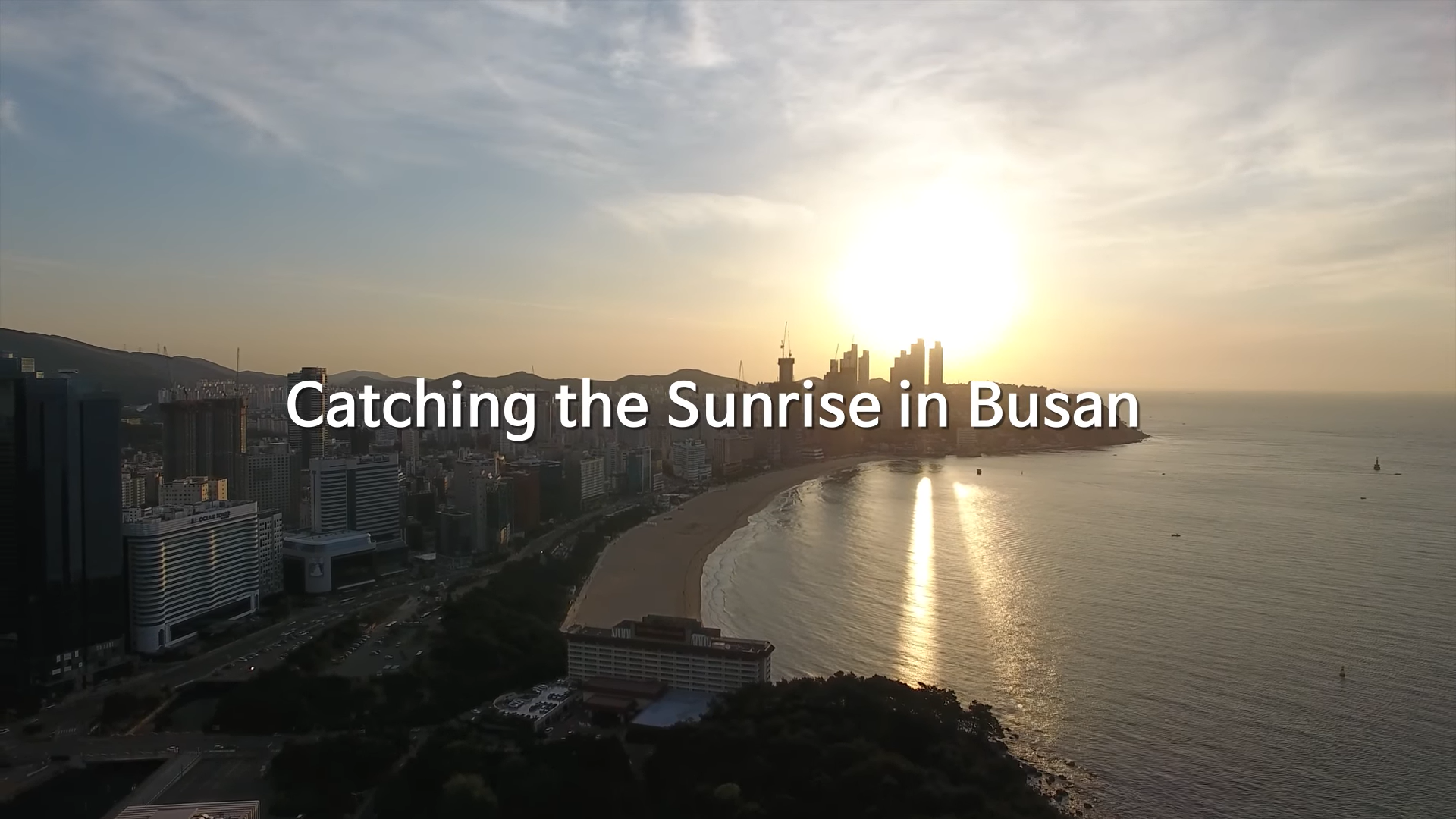 20201230_busan_pvdd_vn_article_001