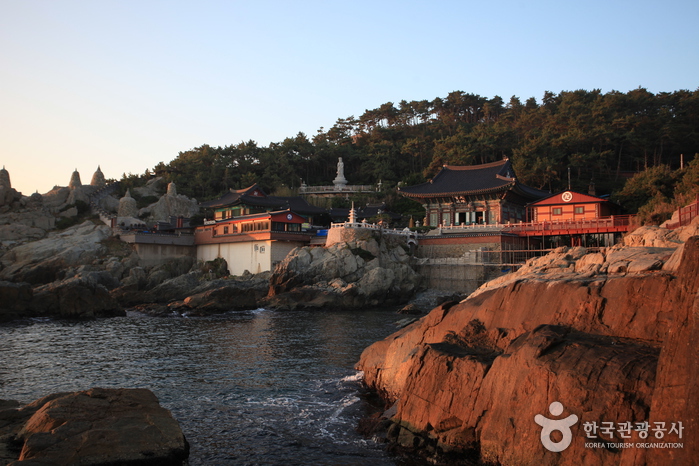 20201230_busan_pvdd_vn_article_006