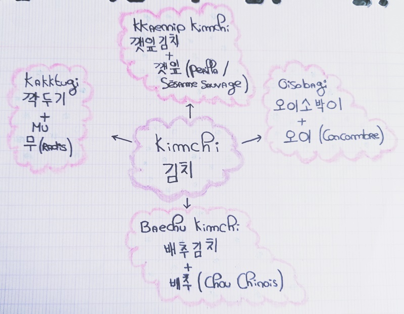 Voici mon beau schéma qui représente 4 variétés de kimchi et leurs ingrédients principaux Ⓒ Marine Caspar