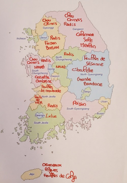 Voici une carte sur laquelle j’ai noté quelques ingrédients populaires pour le Kimchi selon les régions Ⓒ Marine Caspar
