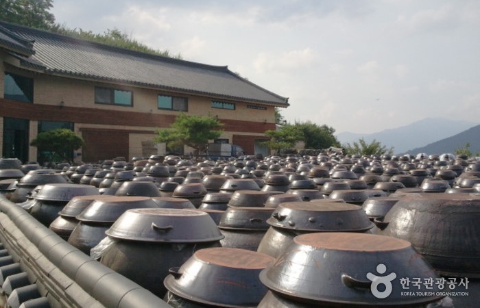 202102244_gwangywang_pvdd_vn_artciel_004