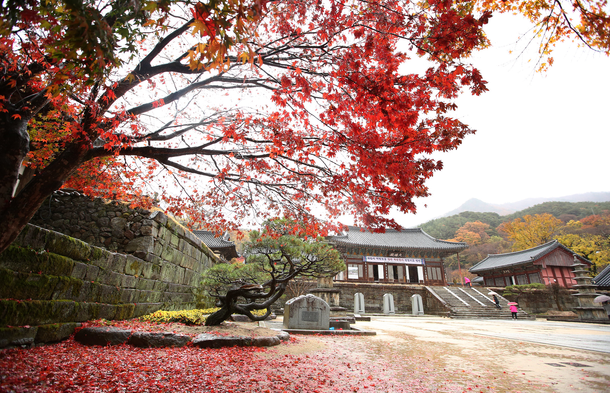 20210318_hwaeomsa_pvdd_vn_article_001