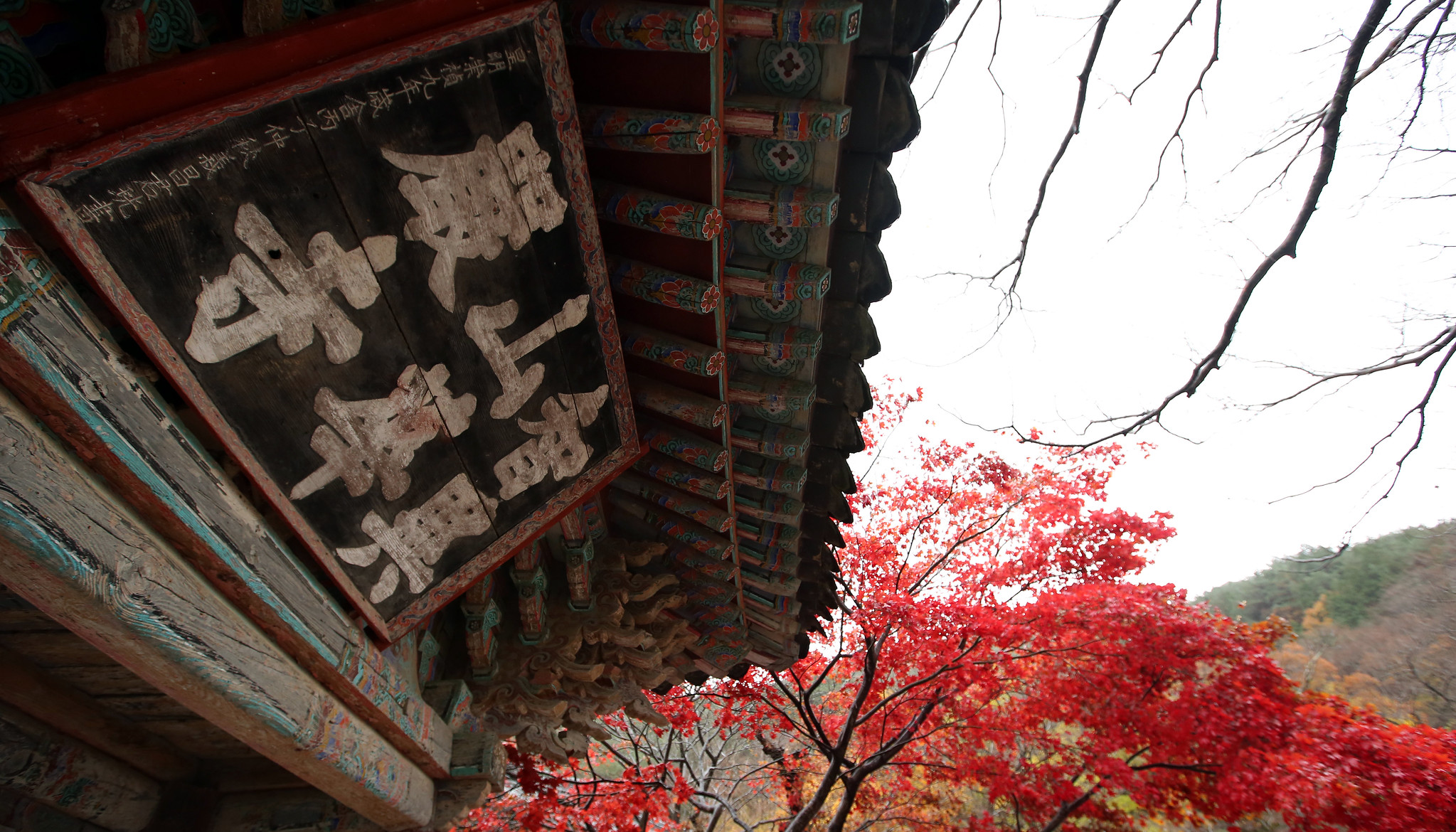 20210318_hwaeomsa_pvdd_vn_article_002