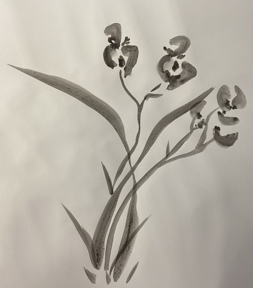 Apprentissage des feuilles d’orchidées , mon tout premier dessin (réalisé sans le matériel adéquat )