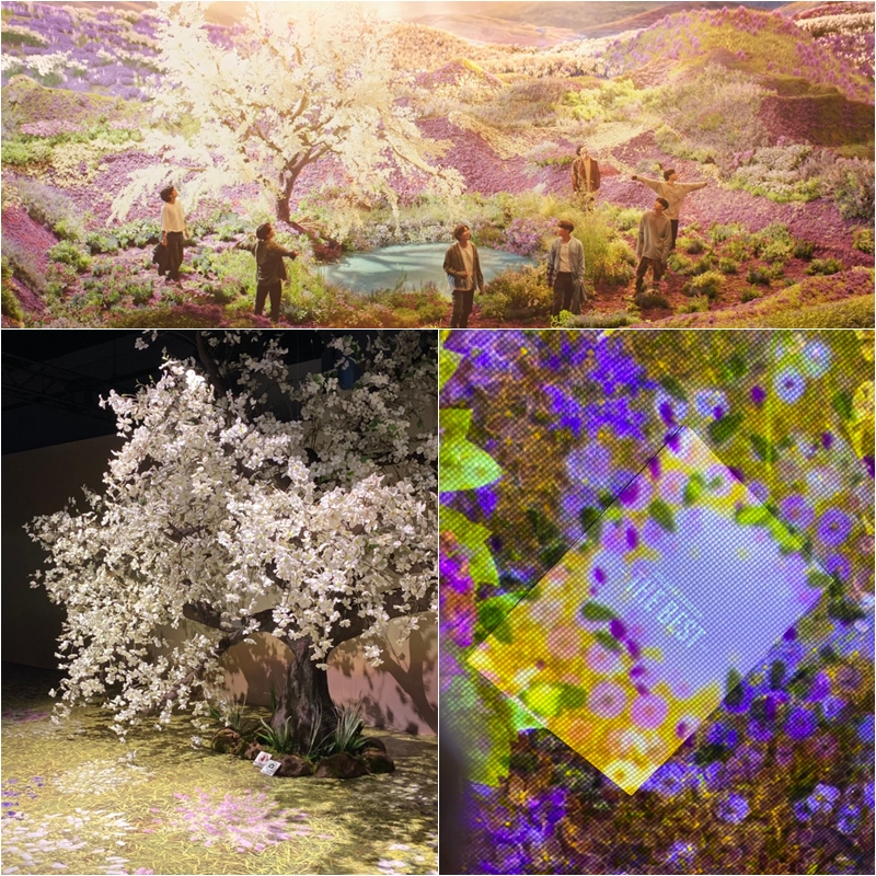 MV「Stay Gold」シーン（YouTube、上）と花畑セット＝6月26日、神奈川