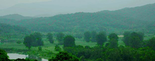 external_image