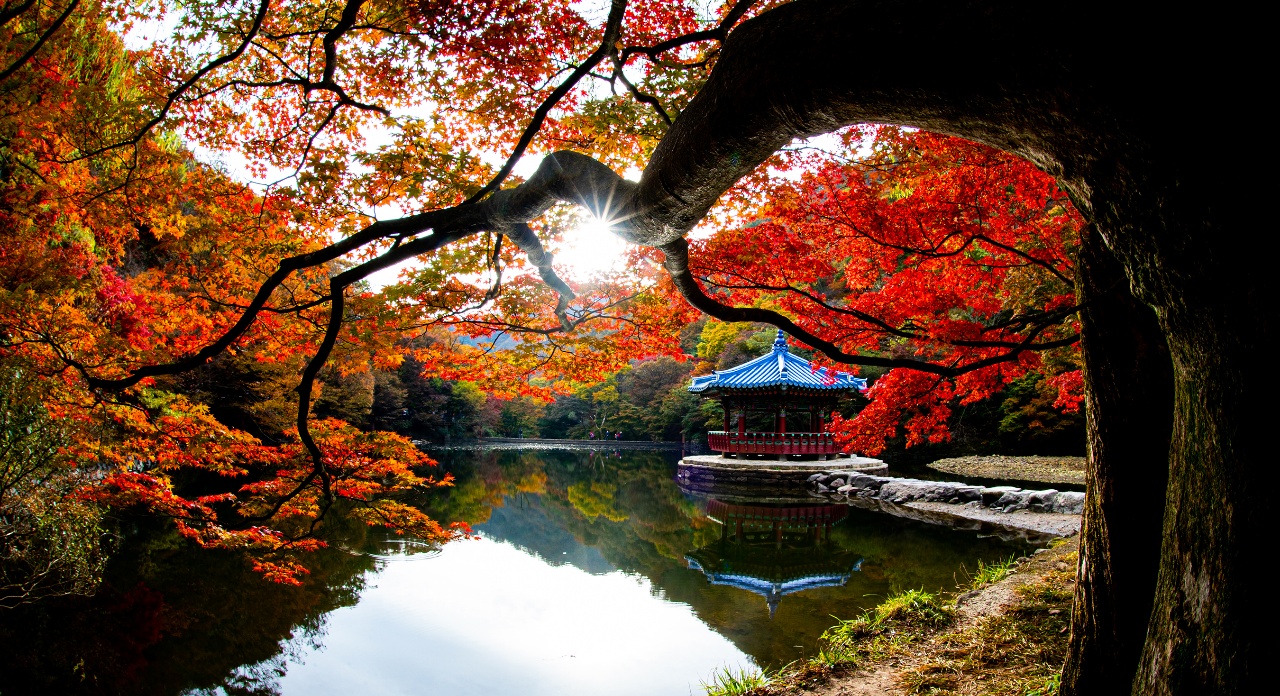 El pabellón Uhwajeong, situado en un estanque, son algunos de los puntos populares que conecta la naturaleza con la calma espiritual. | Korea National Park Service