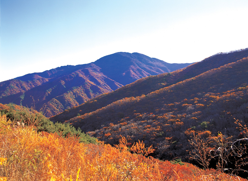 Parque Nacional Jirisan es un lugar que atrae a numerosos senderistas de todo el mundo por el atractivo que desprende los colores de los arces durante la temporada de otoño. | iclickart