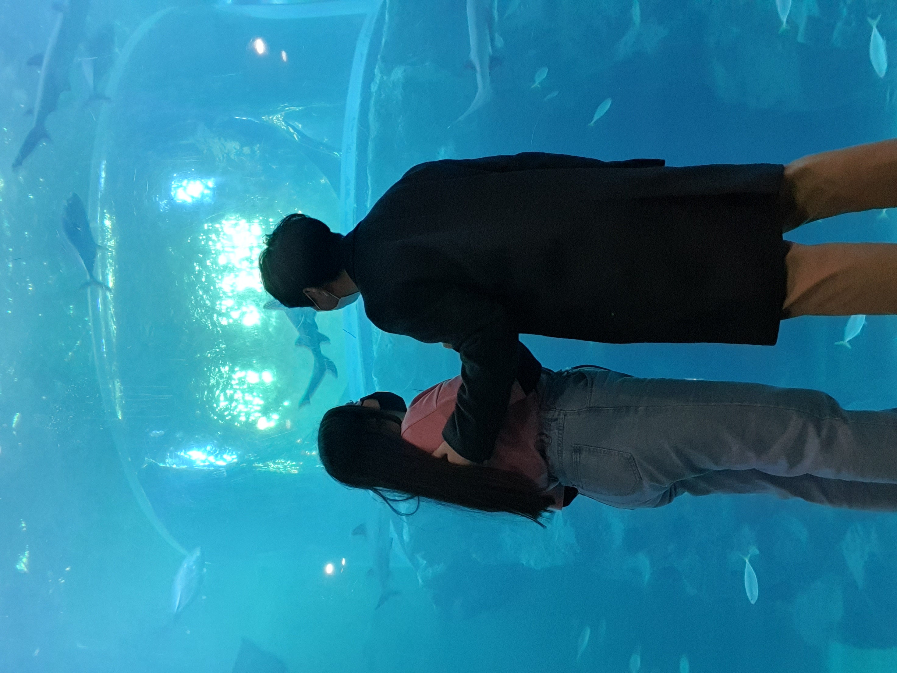 Aqua Planet Yeosu | Kelly Nicolle Medina