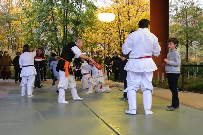 4 Photos , les N° 4 -5- 6- 7 : Démonstration de Taekkyon par Maître Guillaume Pinot et ses élèves , dans la cadre de l’exposition Ultime Combat , au Musée du Quai Branly , à Paris ( crédits Photos CFTK )