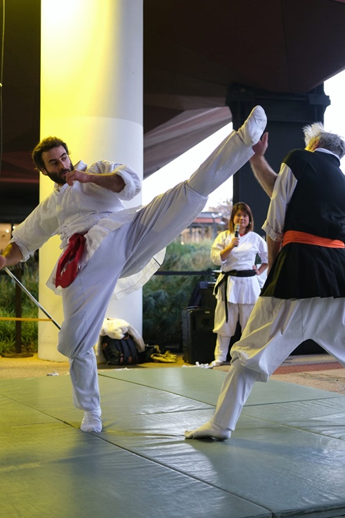 4 Photos , les N° 4 -5- 6- 7 : Démonstration de Taekkyon par Maître Guillaume Pinot et ses élèves , dans la cadre de l’exposition Ultime Combat , au Musée du Quai Branly , à Paris ( crédits Photos CFTK )