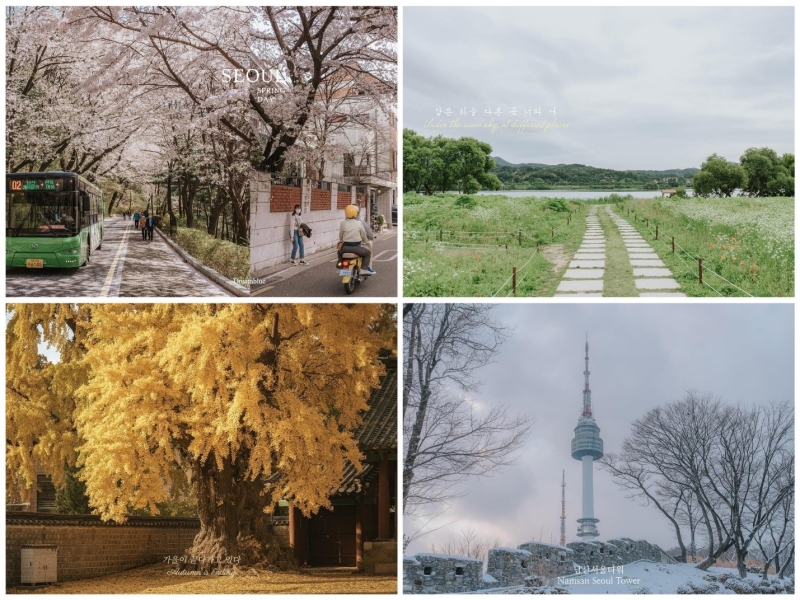 Bốn mùa ở Hàn Quốc qua lăng kính của Dreamblue. (Ảnh: Trang Facebook của Dreamblue)