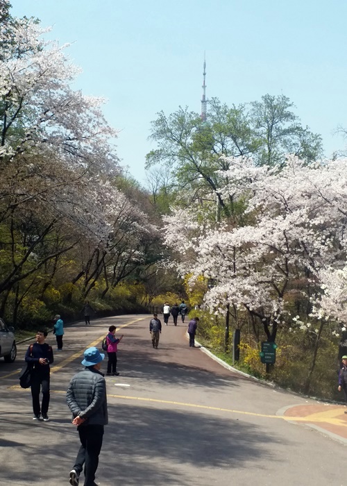 当地