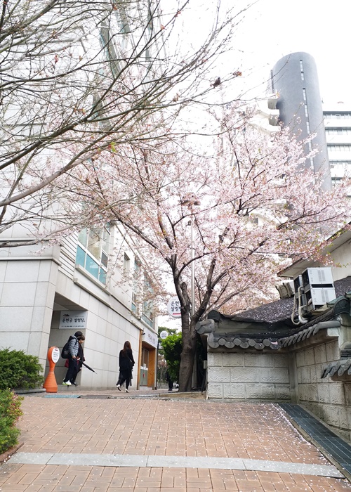 街道