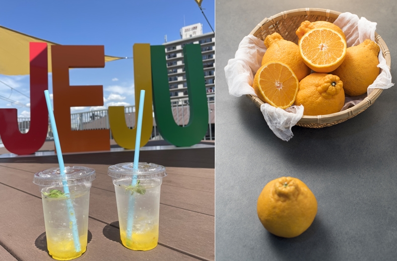 ハルラボンエイド（上）＝１４日、大阪、大野瑠香撮影 ハルラボン（下）＝Iclickart