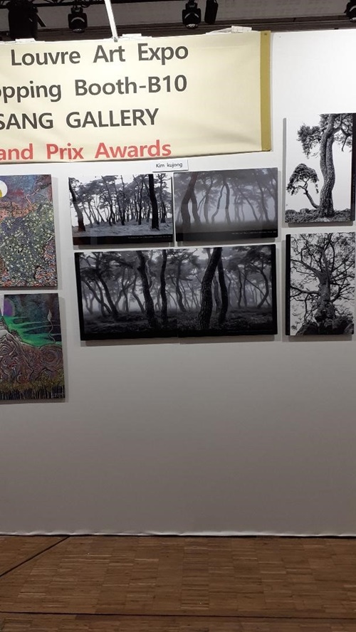 PineTrees Light Take par Kim Kujong photo@Nathalie Fisz