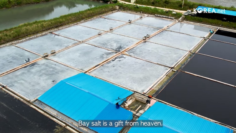 Cũng giống như ở miền Trung hay Nam - Việt Nam, muối biển được nắng gió hong khô mà hình thành, thì tại Hàn Quốc, người ta cũng tận dụng tương tự các yếu tố tự nhiên này nhằm sản xuất muối, tuy xét tới quá trình có thể hơi khác biệt. (Ảnh: Chụp màn hình từ video trên kênh Youtube chính thức của Korea.net)
