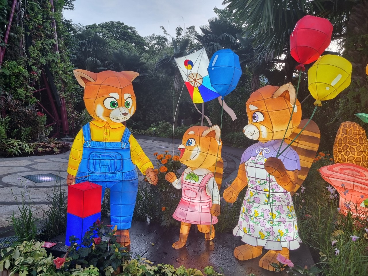 Animal Family