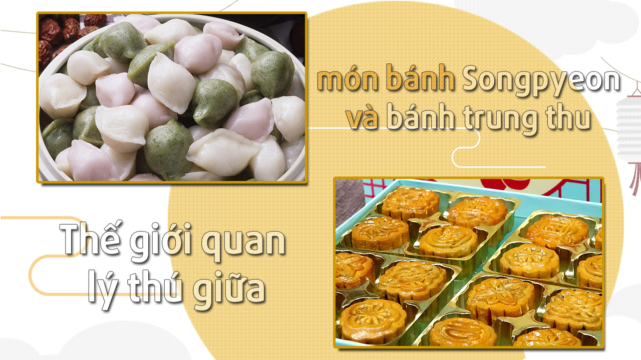 Cả 2 món bánh Songpyeon lẫn bánh trung thu nói chung đều chứa đựng thế giới quan đầy lý thú, chúng còn giúp tăng cường giá trị văn hóa ẩm thực của các quốc gia Châu Á thêm phần sinh động. (Ảnh: Korea.net, Pixabay ; Biên tập: Vũ Đỗ Hải Hà)