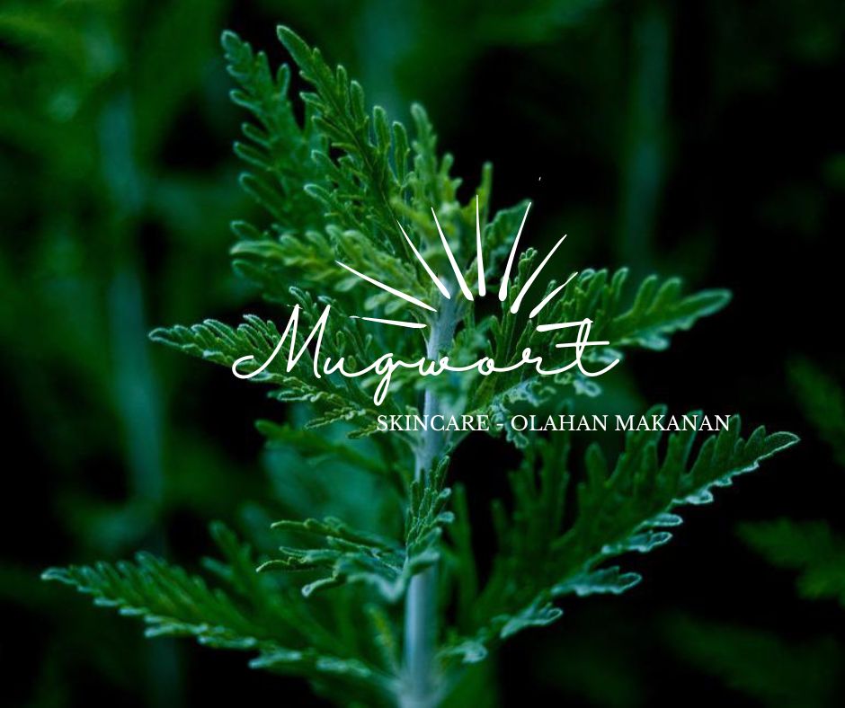 Mugwort dipercaya dapat mengangkat sel kulit mati, merevitalisasi kulit kering, memperkuat skin barrier, hingga meregenerasi sel kulit. (Noor Annisa Falachul Firdausi) 