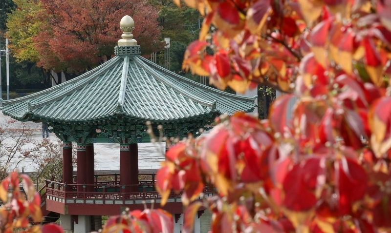 Mùa thu ở Hàn Quốc. (Ảnh: Jeon Han / Korea.net)