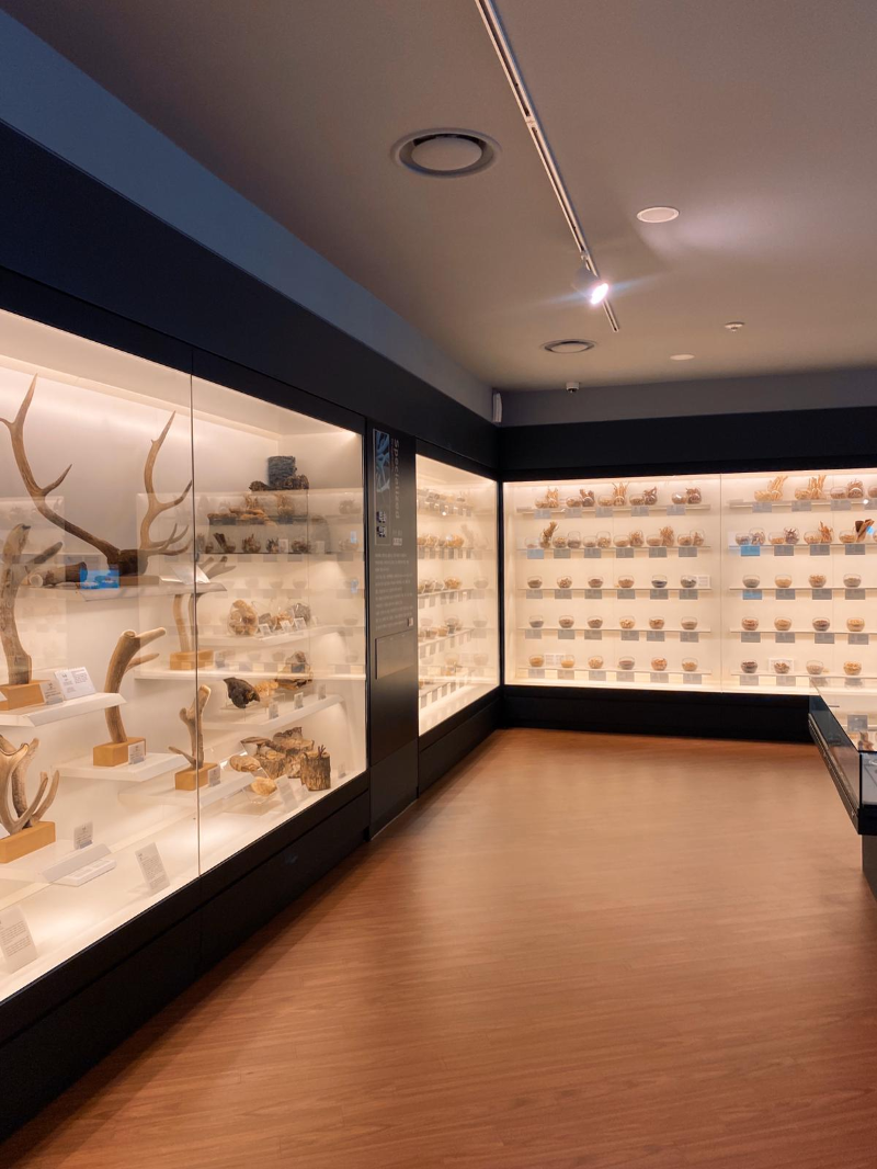 The Seoul Yangnyeongsi Herb Medicine Museum is in the same building as the Seoul K-Medi Center.