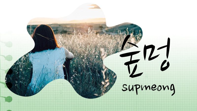 Nhìn chăm chú vào cỏ cây hoa lá thông qua “supmeong” sẽ khiến bạn thêm yêu đời hơn. (Ảnh: Unsplash ; Biên tập: Vũ Đỗ Hải Hà)