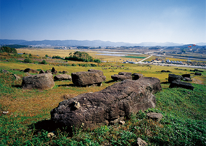 external_image