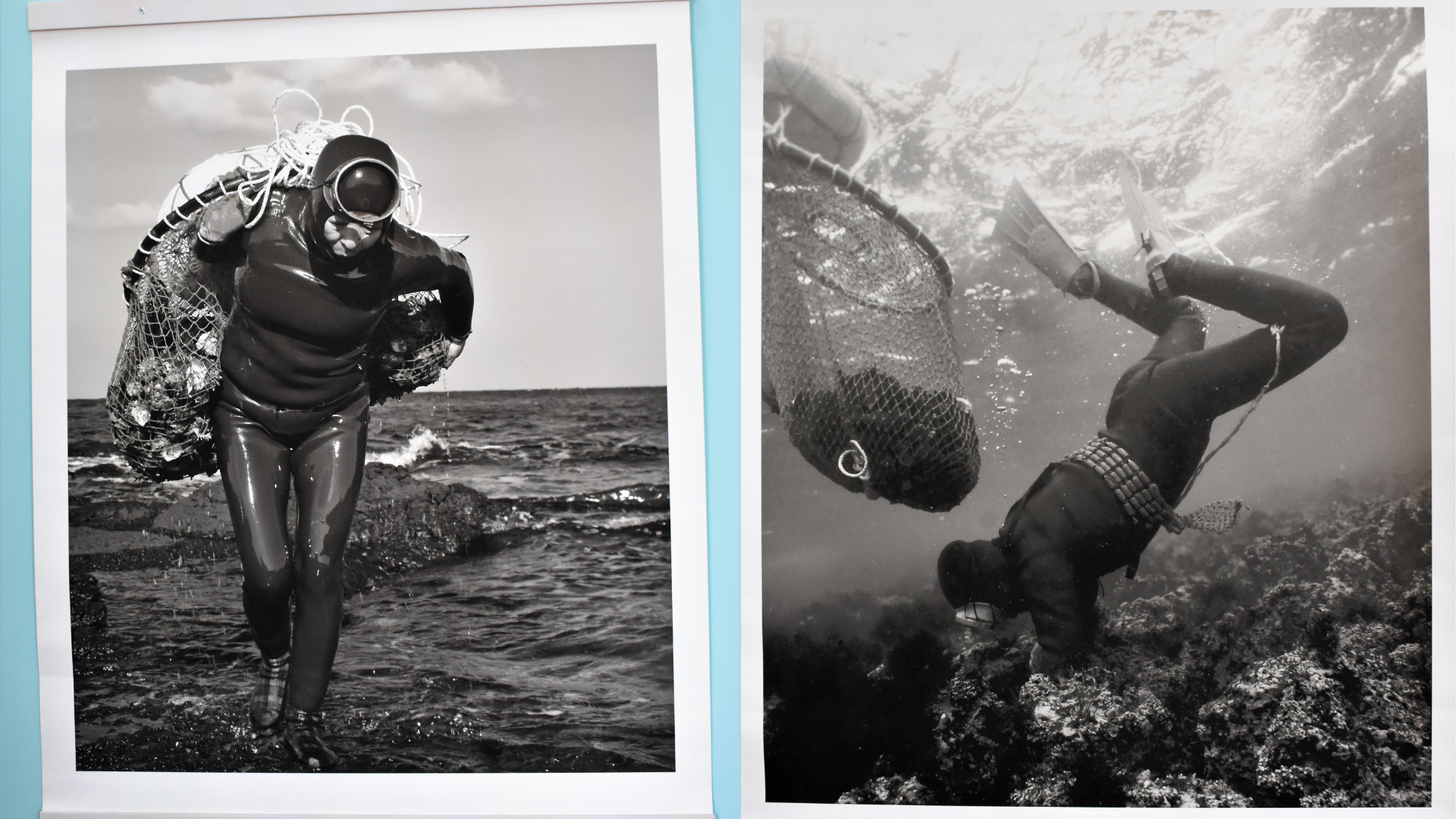 Se darán a conocer 19 fotografías de diferentes épocas que documentan la historia de estas mujeres y sus técnicas para recolectar mariscos. 