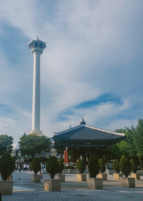 Вид на башню Busan Tower. / Фото: Алина Авхадыева 