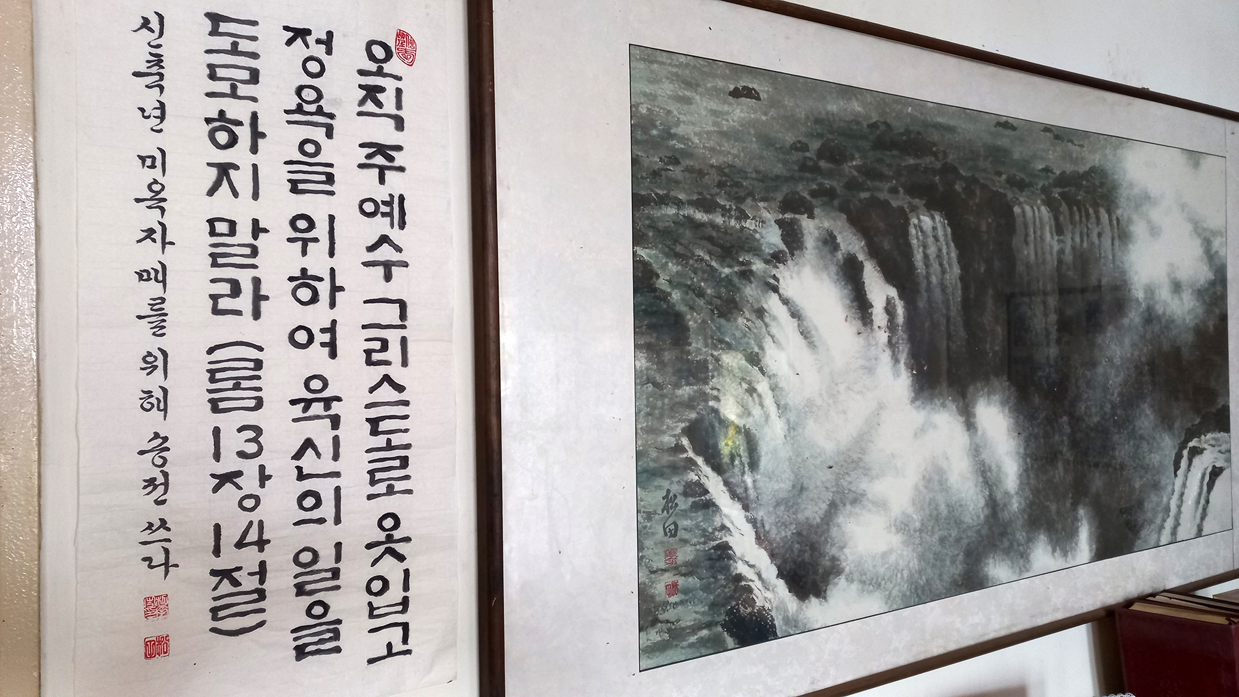 El profesor Park dijo que el día que fue como turista a las cataratas del Iguazú, quedó maravillado por el paisaje majestuoso de las cascadas. Por eso empezó a pintarlas. 