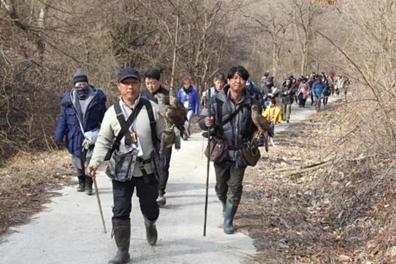 Photo 3 Evènement autour de la fauconnerie en Corée du Sud @ Dongseok Woo