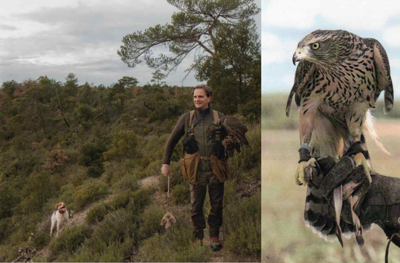 Photo 13 Chasse en Provence ⓒ Marc Jaubert