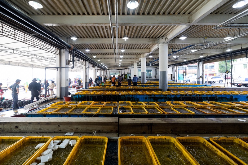 有着各式各样海鲜品种的南海郡水产品批发市场。韩宣网记者金淳株 摄
