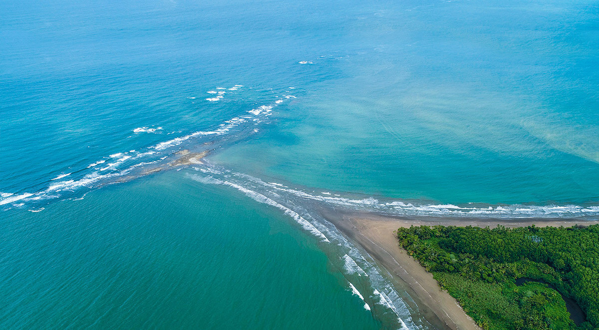 Vista de la cola de ballena durante la marea baja | Ballena Infocenter