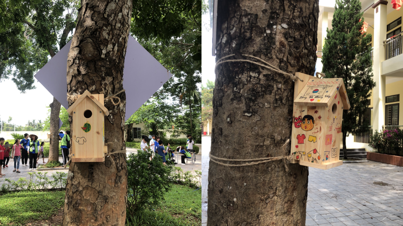 Những chiếc tổ chim được trang trí và treo lên cây. (Ảnh: Hoàng Thị Phương Thảo)