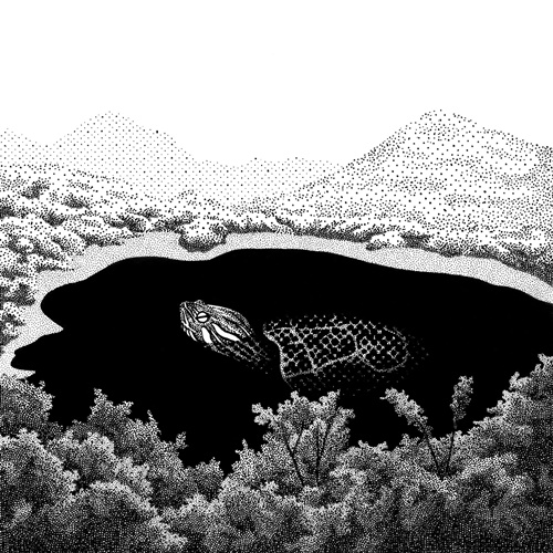 Turtle Lake. © Compte Instagram de Minjeong Ko