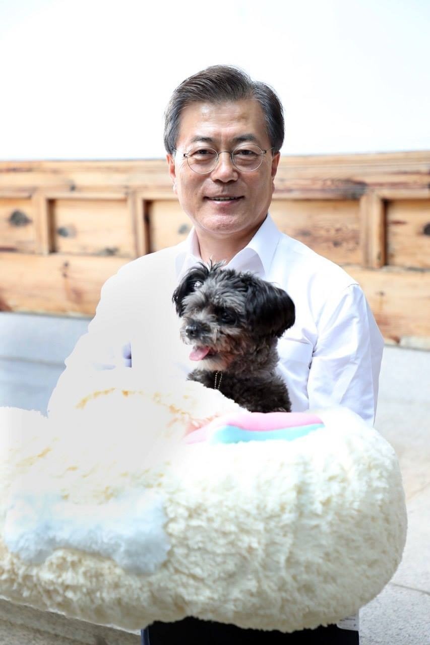 L'ex-président sud-coréen Moon Jae-in présentait en 2017 son chien Tori adopté auprès de l'association CARE. © Compte Facebook du gouvernement de Moon Jae-in