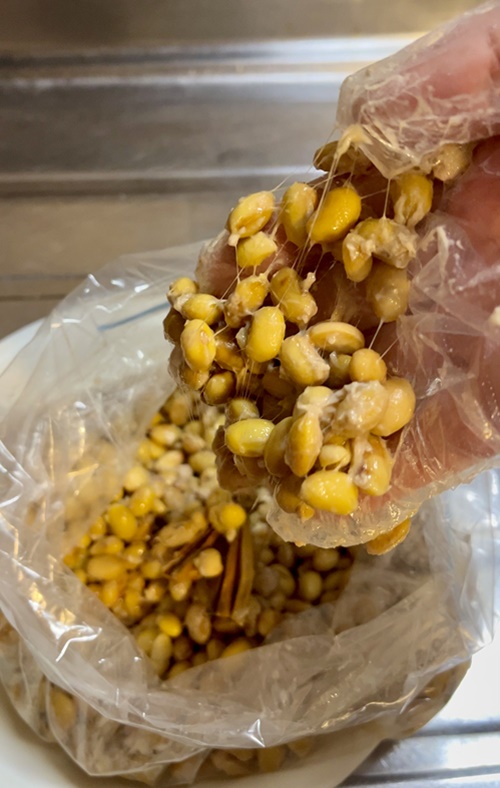 このように大豆が糸を引くようになれば完成！（写真撮影＝田尾秀子）