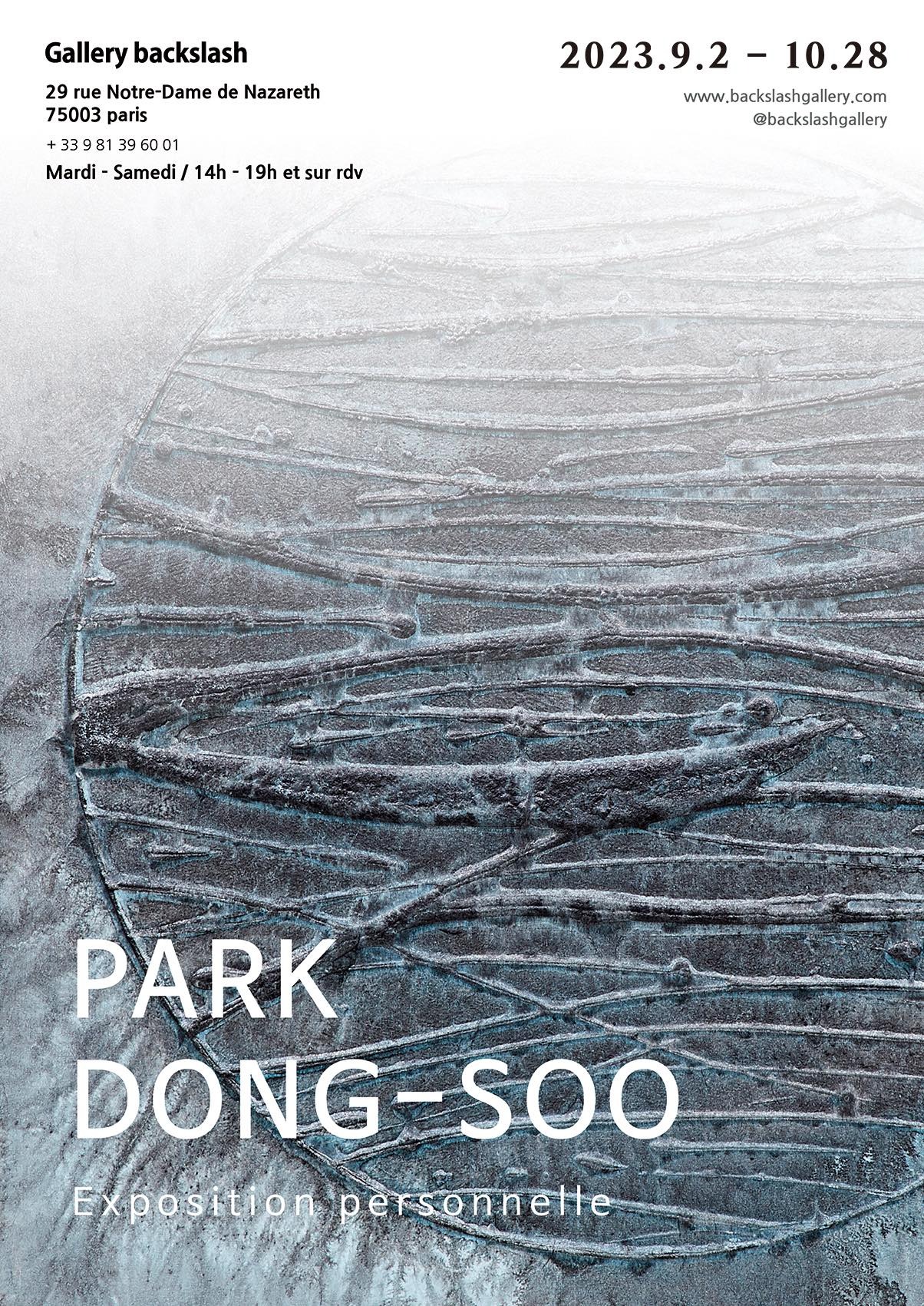 Exposition personnelle de Park Dong-Soo à la Back Slash Gallery @Park Dong-Soo
