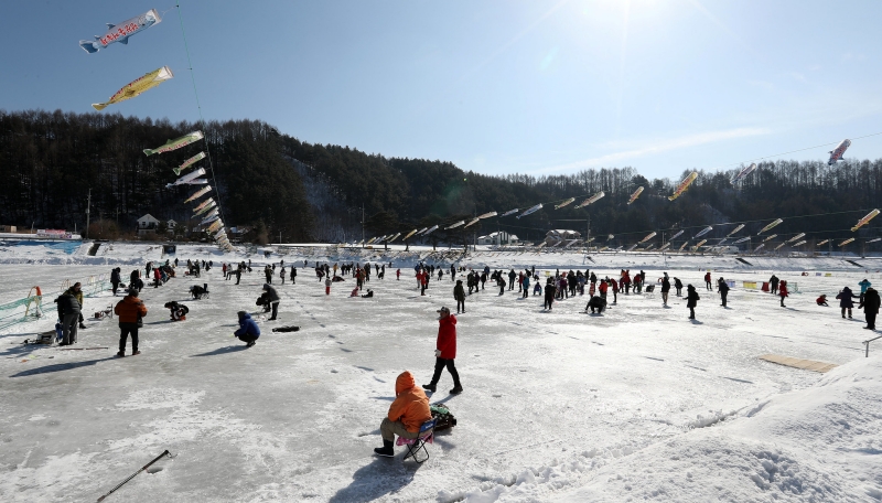 Зимние активности на фестивале форели в Пхёнчхане, Южная Корея. / Фото: Korea.net