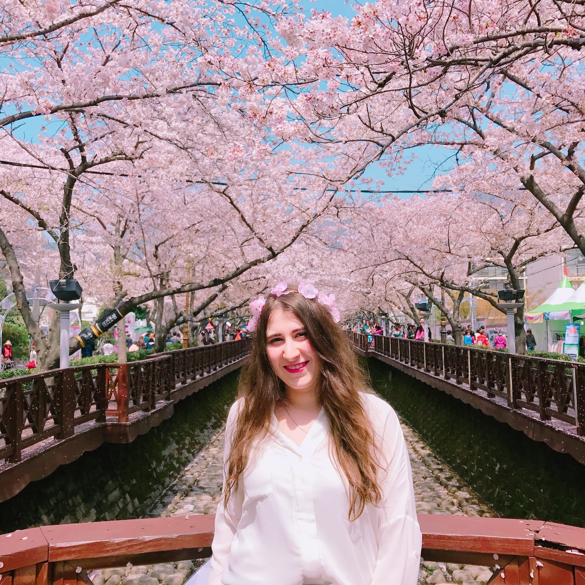 Au festival de fleurs de cerisiers de Jinhae.