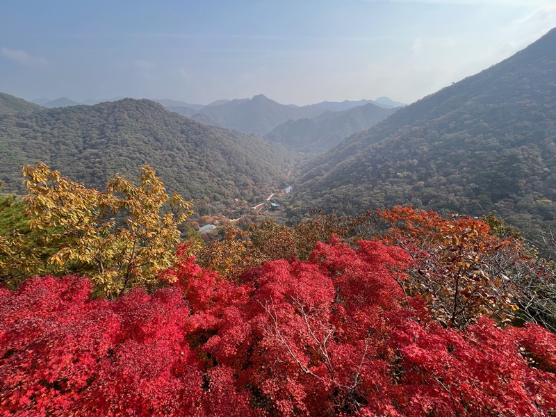 A Korea.net staff writer on Oct. 26 visited Naejangsan National Park. Shown is a panoramic view from the mountain's observatory Yeonjadae Pavilion. 